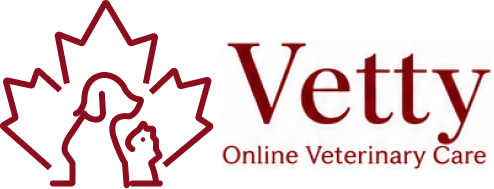 Go Vetty logo