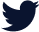 Twitter icon