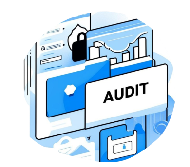 Security Audit & Assessment