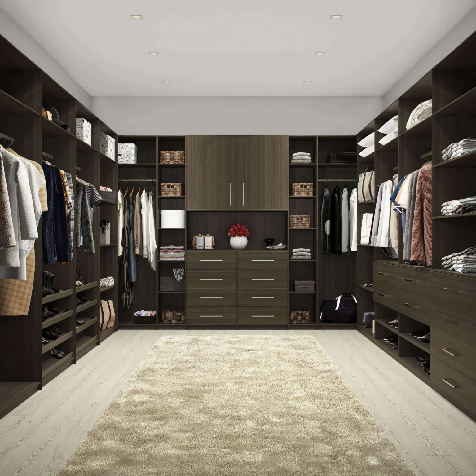 Walk-in closet with built-in cabinetry