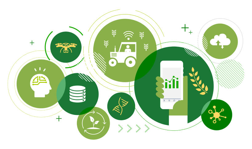 Rural transformation