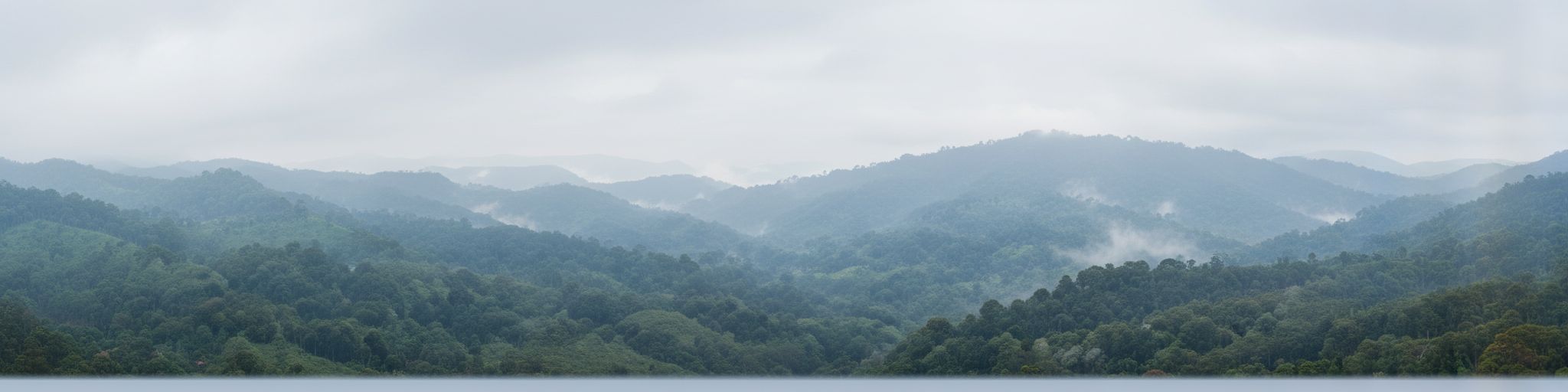 Sri Lanka Landscape