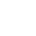 Logo Icon