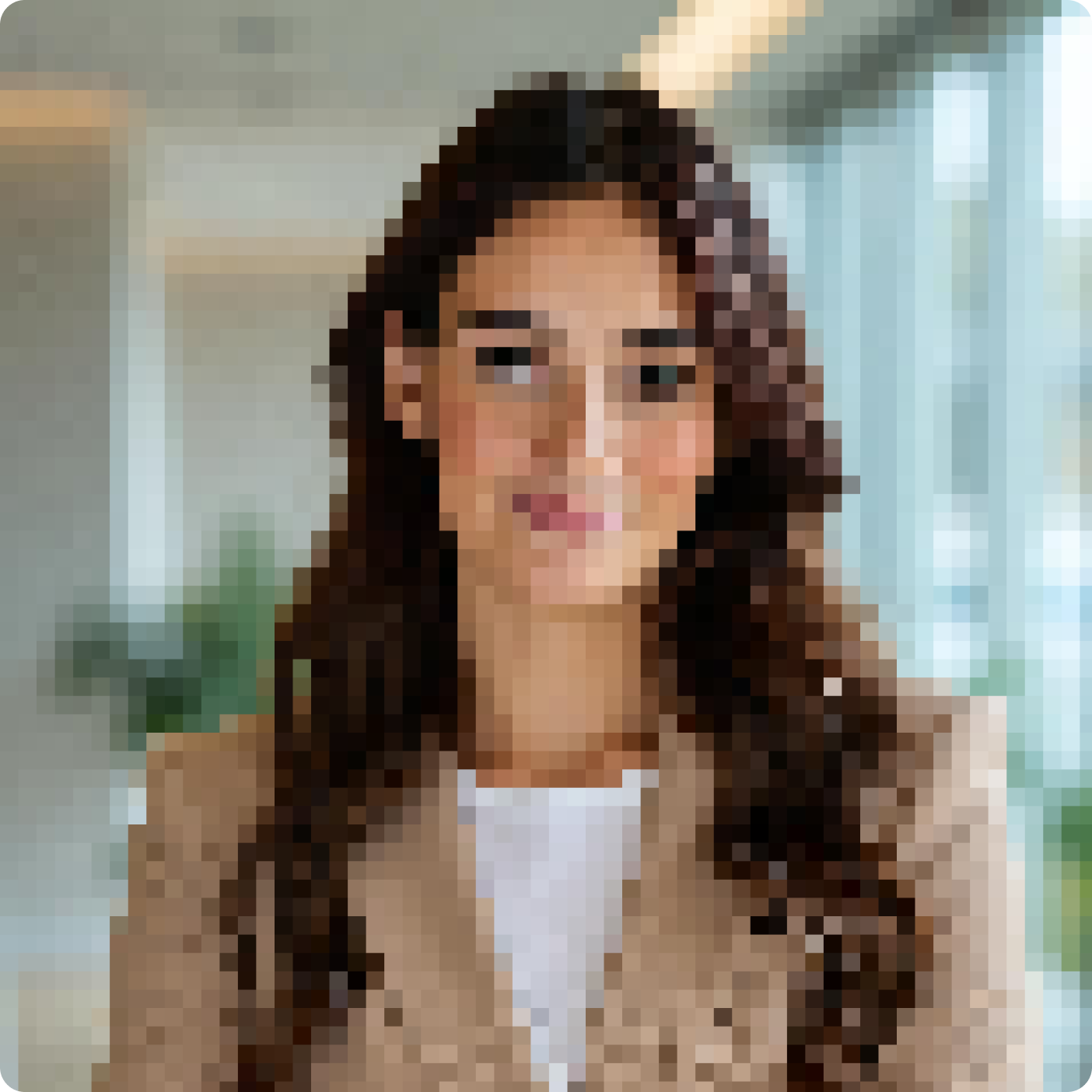 תמונה מקצועית