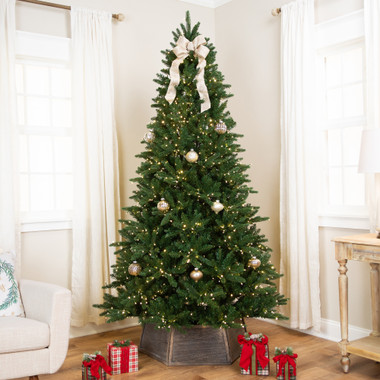 Real Touch Elite Pre-Lit Calgary Pine IPT Artificial Christmas Tree - 6' Dual Color LED