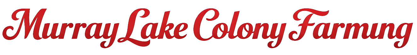 Murray Lake Colony Farming