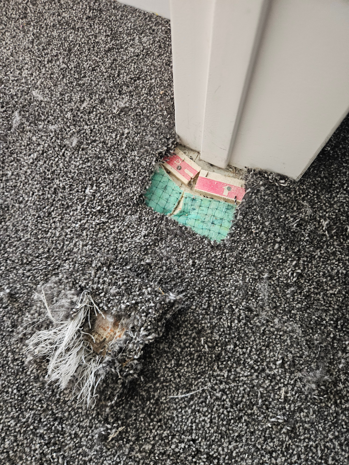 Carpet damage with pet fraying and patch repair area visible at door frame