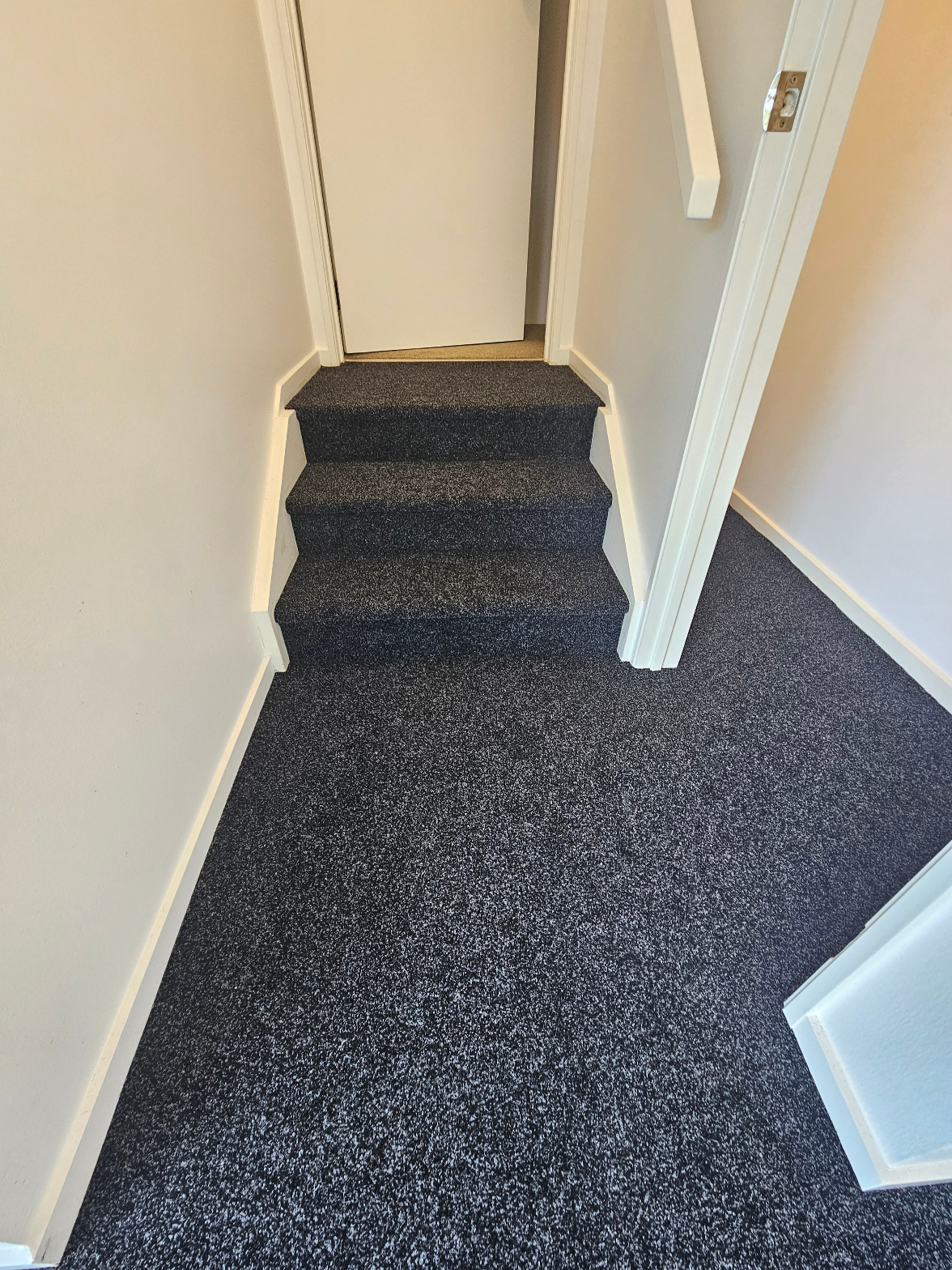 Dark charcoal carpet installed on hallway floor and stairs with white skirting boards and doors