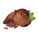 cacao