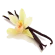 vanilla