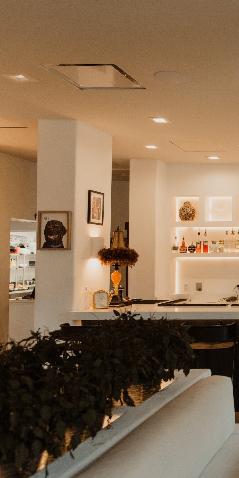 Bar area with dog portrait and feather lamp