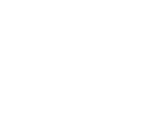 Logo PNSL